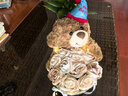 三彩熊小熊玩偶花束女生生日礼物女士永生花送女朋友闺蜜高级小众新结婚 实拍图