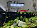 尼奥光鱼缸灯水草灯LED灯S3proRGB植物光谱 13W新款尼奥S3pro+【高亮自然版双倍亮度】 实拍图