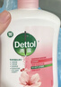 滴露（Dettol）洗手液滋润500g*6 抑菌洗手液家庭装大桶儿童消毒无酒精温和护手 实拍图