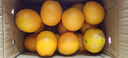 壹棵弘芯正宗现摘丑八怪柑橘子新鲜水果当季酸甜口湖北橘子生鲜整箱 特级5斤大果超值装 净重约为4斤+ 实拍图