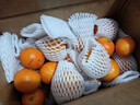 京鲜生 广西砂糖橘 净重3斤 单果35-45mm  生鲜水果 源头直发包邮 实拍图
