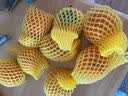阳丰脆柿 新鲜巧克力柿子 吃硬的应季水果  脆甜可口 带箱3斤  单果100g+ 约9-13个左右 实拍图