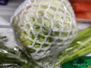 圆白菜约800g 实拍图