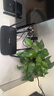 普联（TP-LINK）双千兆路由器 易展mesh分布式 AC1200无线家用穿墙 5G双频 WDR5620千兆易展版 IPv6 实拍图