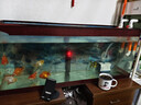 森森（SUNSUN）鱼缸加热棒自动恒温水族箱防爆加热器鱼缸水族用品 三代豪华款200W带保护套(中小型鱼缸) 实拍图