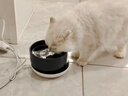 JCZS德国品牌恒温猫咪饮水机自动循环加热宠物喝水器 3档定时恒温垫+350ml黑色陶瓷碗 实拍图