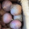 志褚独头蒜大蒜头 2024云南大理紫皮独蒜 精品新鲜现挖湿蒜 3斤装【特大果3.5cm以上】 实拍图