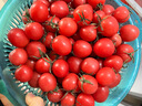 千禧圣女果新鲜小番茄樱桃小柿子孕妇水果现摘现发新鲜蔬菜 新鲜圣女果 5斤 实拍图