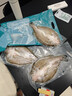 钓鱼记开背海鲈鱼2.4斤/3条 三去净重 冷冻 生鲜 鱼类 海鲜水产 实拍图