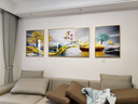诗六艺家饰客厅装饰画北欧现代简约沙发背景墙挂画三联画大气轻奢壁画晶瓷画 家和富贵A（铝合金外框） 晶瓷画左右60*80+中间120*80亮面 实拍图