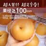 四叔公果蔬秋月梨正宗【顺丰/中通-多地次日达】山东莱阳应季新鲜水果礼盒 【金奖·爆甜稀缺】400g+｜特级大果 【豪华礼物】臻选 8枚 高档礼盒装 实拍图