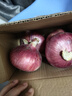 山东特产水果扁洋葱甜瓜口感红皮扁葱头生吃脆甜蘸酱好吃粉嫩 紫皮洋葱大果带箱 3斤 精选 实拍图