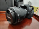 佳能/Canon 600D 700D 750D 760D 800D 二手单反相机新手入门旅游高清相机 700D+18-135 IS【套机】 99新 实拍图