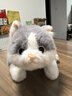 威尔通（WELTSTON）毛绒玩具玩偶抱枕靠垫布娃娃中秋节礼物生日礼物 仿真蓝猫咪公仔 实拍图