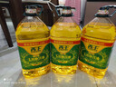 西王玉米胚芽油6.18L*3 实拍图