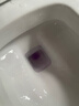 栀子花香强效洁厕灵洁厕剂厕所除臭马桶清洁剂除垢去污洁厕液家用 栀子花香洁厕剂3瓶*500ml 实拍图