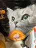 亿迪 猫粮冻干10斤成猫幼猫国产全价布偶蓝猫银渐层全阶段专用 实拍图
