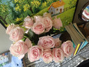 【玫瑰花】花店同款甘肃玫瑰西北鲜花无土栽培易开花期长七夕礼物 粉红雪山单头玫瑰 20枝 实拍图