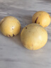 译蒙之味正宗云南人参果圆果树上熟人生果水果当季孕妇新鲜大果清甜整箱 果王5斤【单果100g以上】甄选 实拍图
