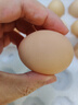 京鲜生柴鸡蛋30枚 3斤 无抗生素 谷物喂养鲜鸡蛋 源头直发 实拍图