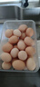 京喜加 谷物喂养初产新鲜鸡蛋40g正负5g生鲜超市买菜早餐土鸡蛋草鸡蛋 40枚富硒鸡蛋50g 实拍图