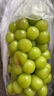 山姆大叔阳光玫瑰葡萄青提【顺丰-多地次日达】晴王提子年货礼盒水果礼盒 9A特级【金冠·老藤果王】单果12-15g 5斤装【蕞划算-家庭自由畅吃】净4斤 实拍图