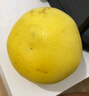 忆京源福建黄金葡萄柚 新鲜柚子爆汁纯甜西柚蜜黄肉柚 现摘时令孕妇水果 9斤大果精选装 实拍图