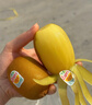 佳沛（zespri）新西兰  阳光金奇异果25-27粒原箱特大果单果约122-146g  猕猴桃 实拍图