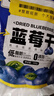 三只松鼠每日蓝莓干500g 蜜饯果干酸甜休闲零食下午茶孕妇儿童健康零食 实拍图