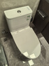 九牧（JOMOO）11173-2-1/31KD-3大力神家用马桶虹吸抗菌节水洁具305坑距 实拍图