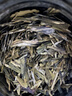 贡苑绿茶龙井茶 豆香浓香型250g2025新茶袋装茶叶精选春茶自己喝 实拍图