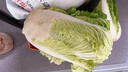 【霜打菜】新鲜大白菜玉田大白菜更甜早餐火锅超市京东包邮 3-5斤大白菜 实拍图