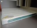 富安娜床垫 山棕椰棕床垫硬 乳胶床垫 三重防螨抑菌榻榻米床垫 山棕+乳胶-12cm厚 180*200 实拍图