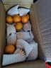 京鲜生 广西砂糖橘 净重3斤 单果35-45mm  生鲜水果 源头直发包邮 实拍图