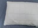 张御（ZiiU）艾草护颈枕 100%艾草填充深度睡眠呵护颈椎枕40*10cm 实拍图