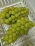 京鲜生 阳光玫瑰葡萄 青提6斤礼盒装 单果约10g 生鲜水果 新鲜水果 实拍图