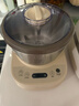 小熊（Bear）和面机家用 揉面机 厨师机 全自动多功能智能和面搅面机 面包面粉发酵醒面HMJ-A50N1 5L 政府补贴 实拍图