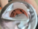 钙尔奇金钙尔奇添佳钙片100片 女士成人中老年钙片补钙维生素D  实拍图