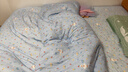 红豆A类正宗新疆棉花被子纯棉花被芯无异味加厚单人双人家用宿舍冬被 白蓝【真A类-正宗新疆棉花被】 180x220cm约8斤【冬被】 实拍图