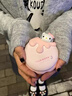 参趣Kitty奶酪暖手宝迷你可爱便携捂手暖宝宝女生生日礼物男女友学生 KITTY【暖手宝】2000mAh 实拍图