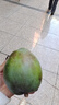 台芒海南热带水果芒果新鲜水果应当季生鲜 带箱1斤 中大果【70+】 实拍图