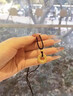 中国黄金（CHINA GOLD）足金吊坠男女款花丝镂空平安扣项链红绳挂坠情人节生日礼物送女友 平安扣项链【黑绳】约1.4g 实拍图