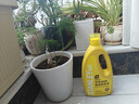 史丹利【京东专供】营养液花肥料家用盆栽植物通用型水培花卉绿植1L 实拍图
