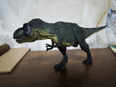 麦趣星球儿童大号仿真恐龙模型玩具动物手办礼博物馆侏罗纪远古猎食霸王龙 实拍图