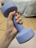 Keep 彩色浸塑哑铃 男女家用家庭健身肌肉塑形手臂轻重量紫灰色 3kg*2 实拍图