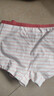 尼多熊儿童内裤女中大童A类平角纯棉婴儿不夹pp透气舒适四角短裤 S码 实拍图
