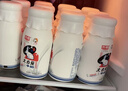 光明大白兔牛奶 低温奶风味牛乳饮品250ml*12瓶 [源头直发] 实拍图