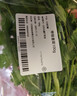 带根香菜100g 实拍图