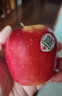 京鲜生 新西兰皇后红玫瑰苹果巨无霸12粒礼盒单果180-200g 水果礼盒 实拍图