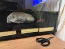 适配小米智能鱼缸底滤板挡沙升级改造过滤入水口造景底砂过滤 升级款小米鱼缸底滤板 实拍图